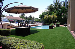 Miami Pool, Deck, Lanai and Miami Patio Areas