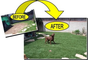 artificial grass dogs before dog lawn fieldturf