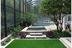 Residential Pool & Patio Areas