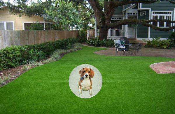 Protect your dogs and pets from potentially harmful effects of weed killers and lawn chemicals.